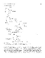 Bhagavan Medical Biochemistry 2001, page 358